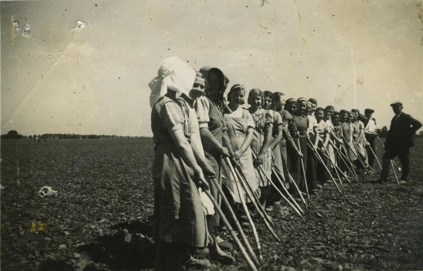 Auf dem Bild sind 18 junge Frauen zu sehen, die von einem Mann beaufsichtigt in einer Reihe auf einem Acker stehen. Sie haben jeweils rudimentäre hölzerne Agrawerkzeuge in der Hand. Mache der Mädchen lächeln in die Kamera.